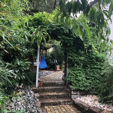 Apartman Annodazumol